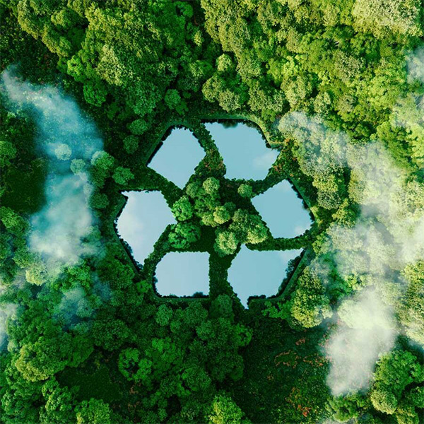 A recycling symbol in a forest representing recycling and solid waste